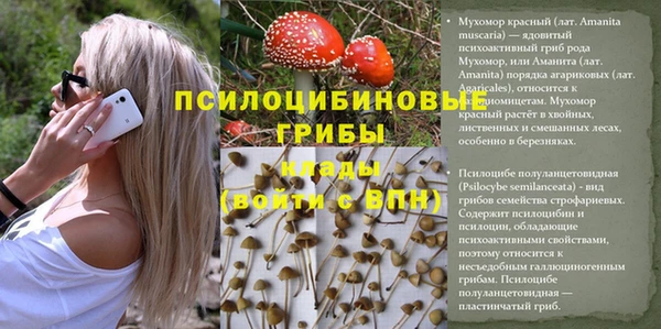 марихуана Семикаракорск